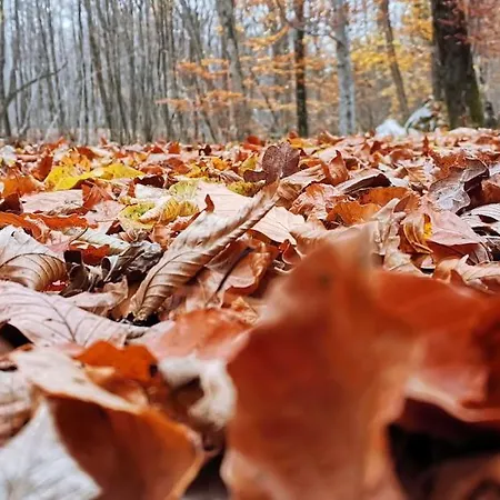 Bestview Kastav Appartement