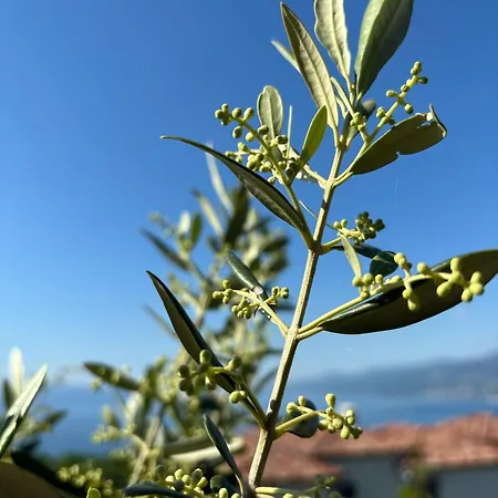 Bestview Kastav Zamet