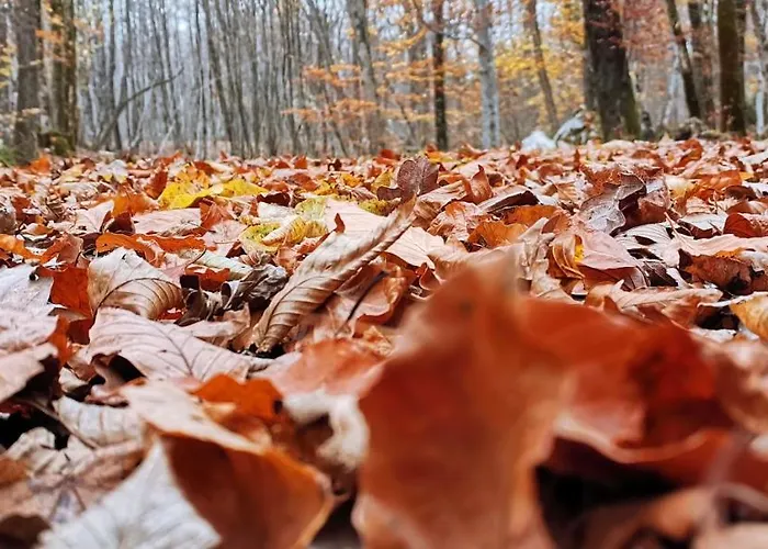 Bestview Kastav Appartement